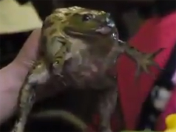 Girl Eats Live Frog